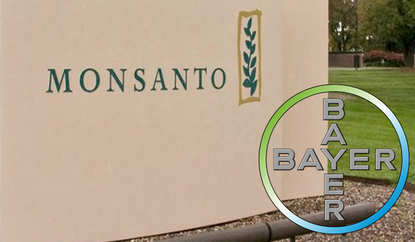 Bayer Monsanto Merger