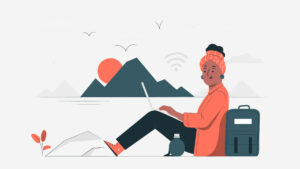 Digital Nomad Work Statistics