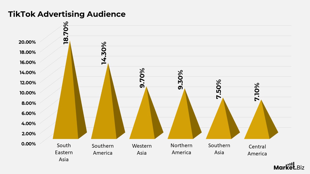 TikTok Advertising Audience