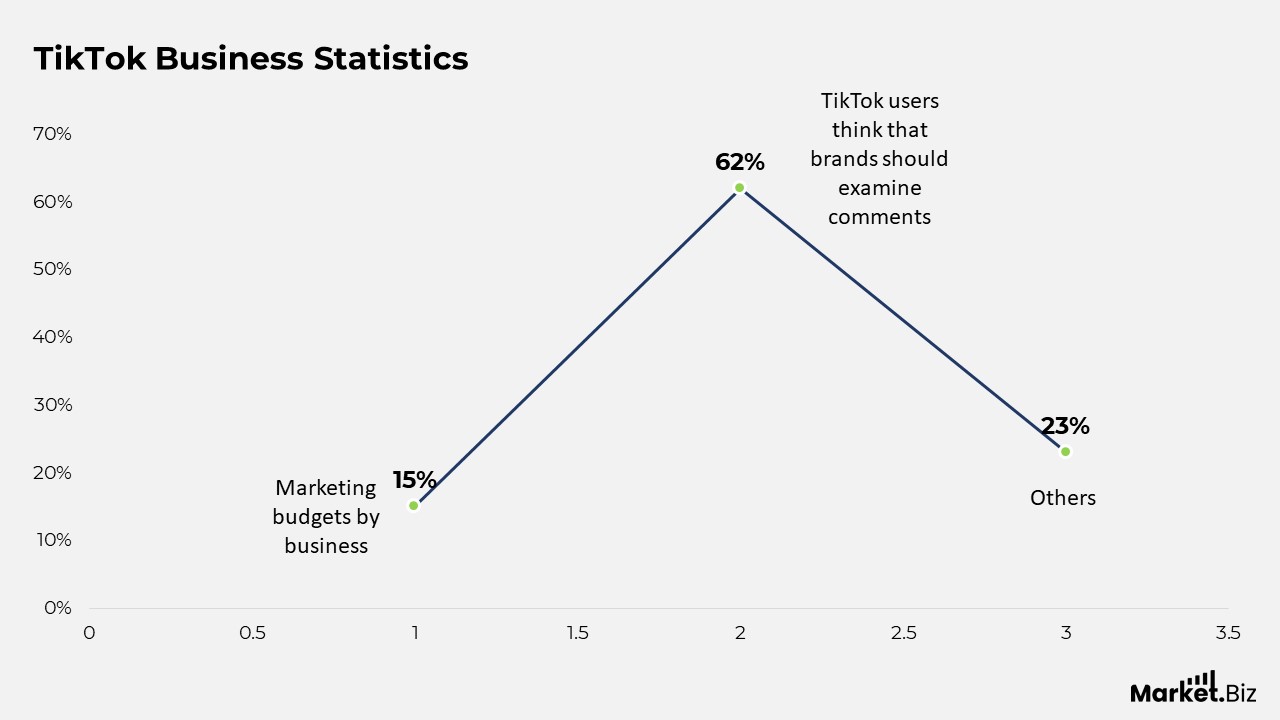 TikTok Business