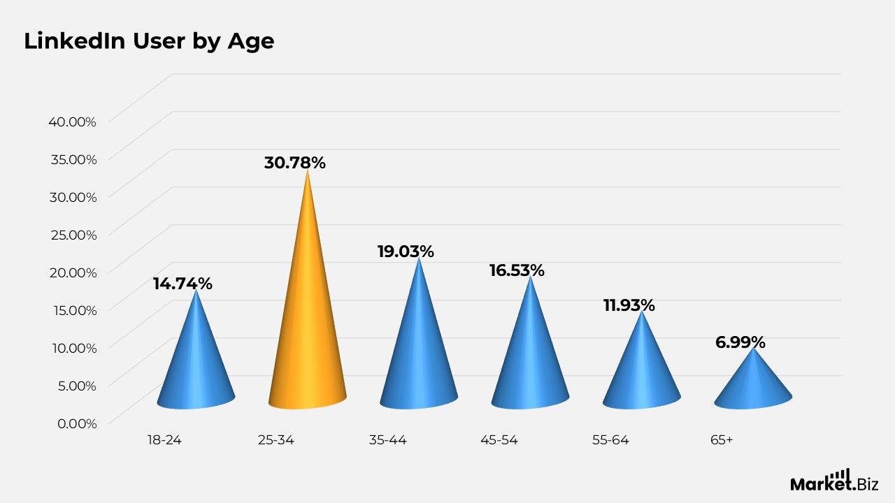 LinkedIn Users Statistics