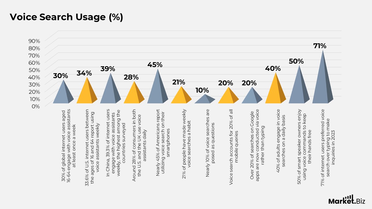 Voice Search Statistics