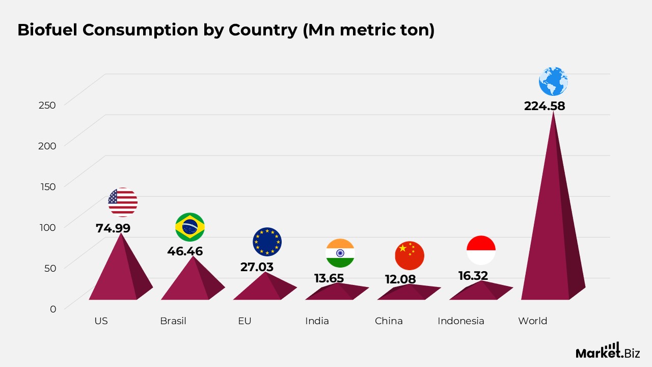 Biofuel Consumption by Country (Mn metric ton)