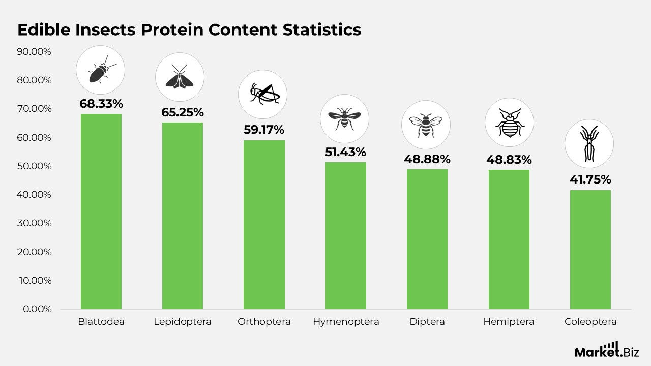 Edible Insects Protein Content Statistics