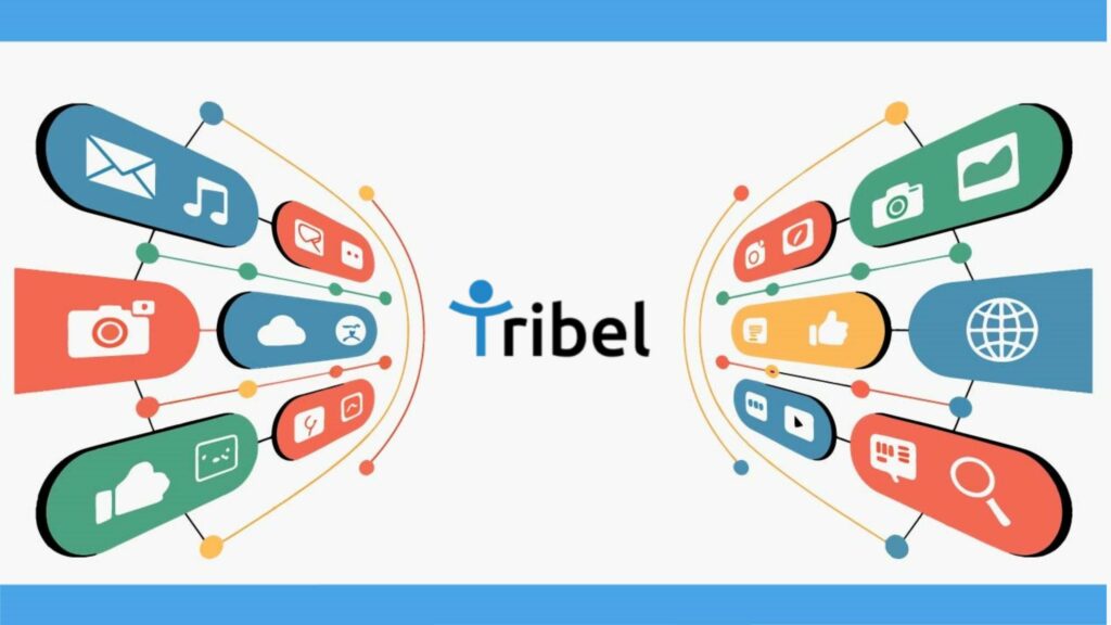 Tribel Social Statistics