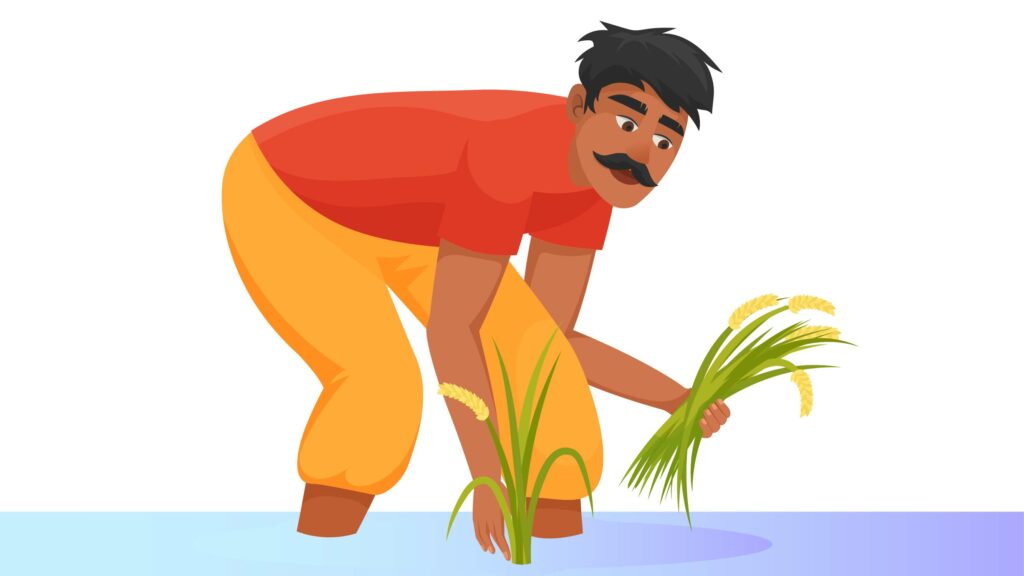 Rice Statistics